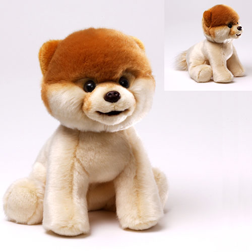 Boo The World's Cutest Dog Plush