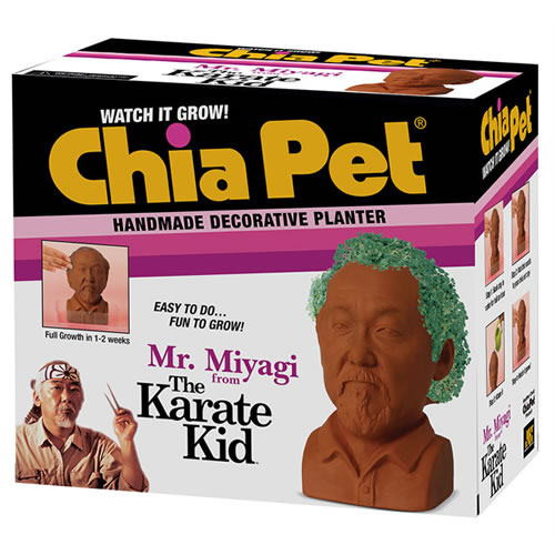 Chia Pet - The Karate Kid (1984) - Mr. Miyagi