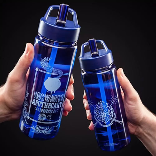 Drinkware - Harry Potter - Hogwarts Water Bottle V2