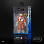 Star Wars Figures - Ep V TESB - 6" Black Series Luke Skywalker (Snowspeeder) - 5X00