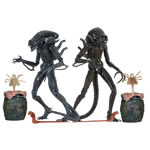 Aliens 7" Figures - Ultimate Aliens Warrior (1986) Assortment