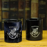 Drinkware - Harry Potter - Hogwarts Heat Change Mug